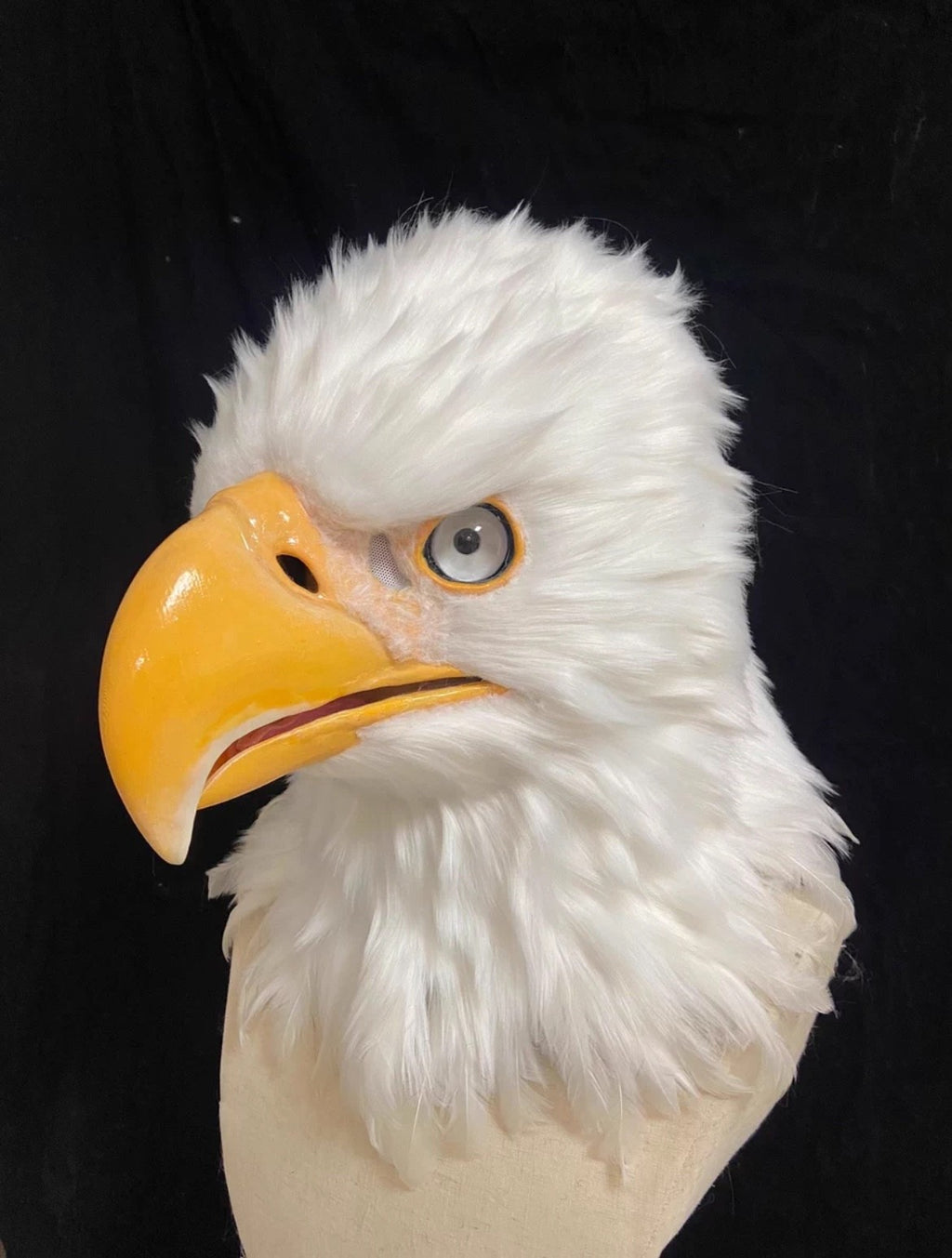 In-Stock Realistic White Bald Eagle Therian/Furry Head Moving Jaw & Top Quality