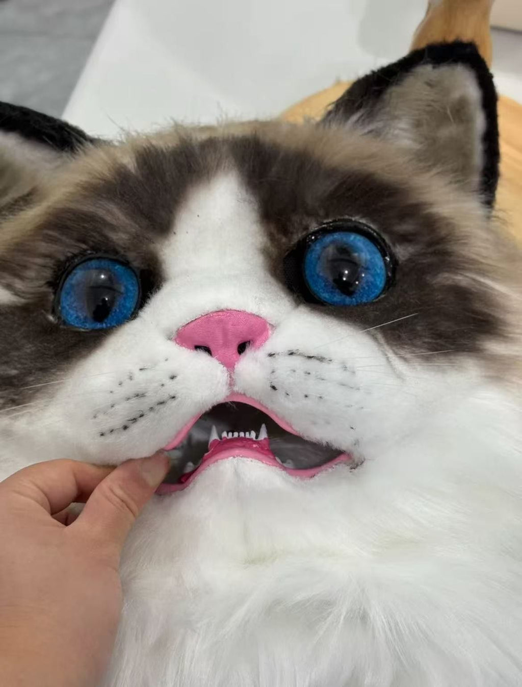 READY TO SHIP Adorable Ragdoll Cat Fursuit Head Moving Jaw Soft Furry Cosplay