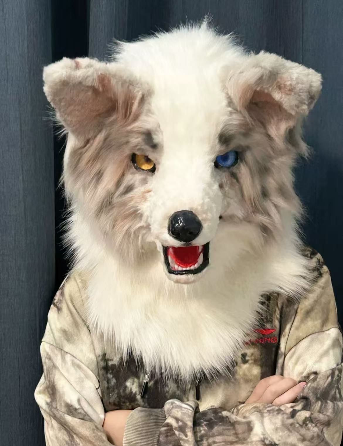 Realistic Lilac Merle Border Collie Fursuit Head Heterochromia Moving Jaw