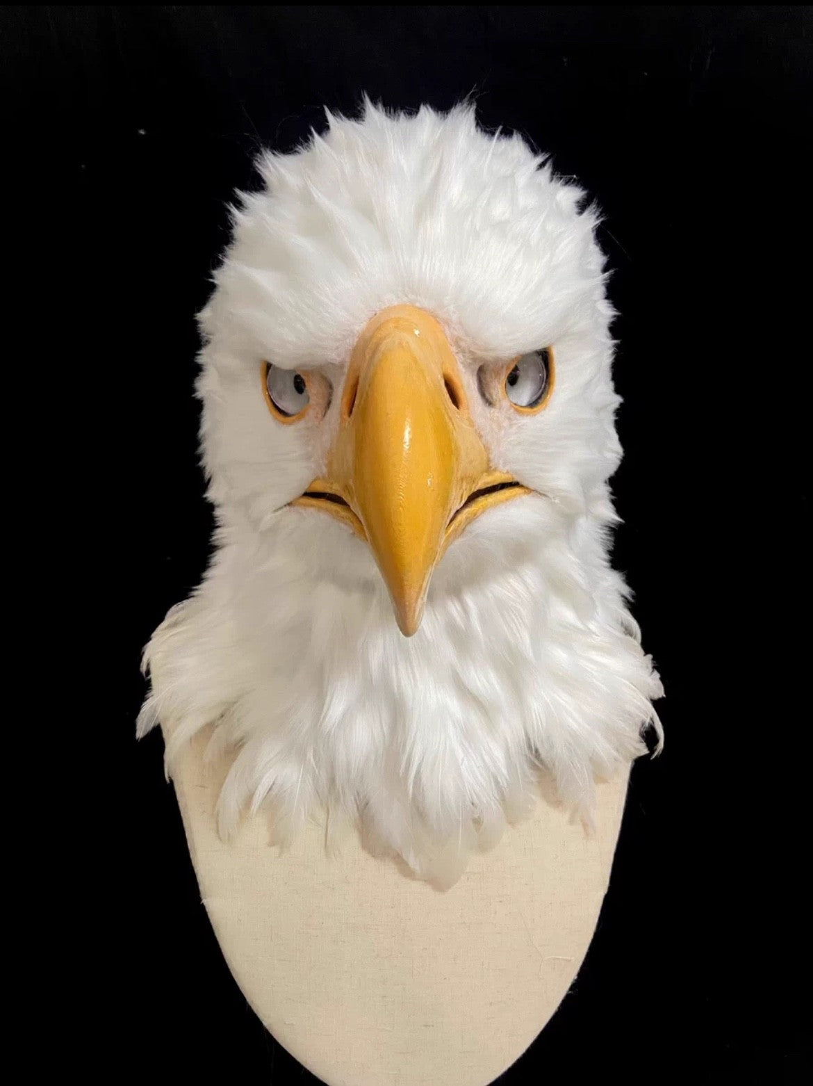In-Stock Realistic White Bald Eagle Therian/Furry Head Moving Jaw & Top Quality