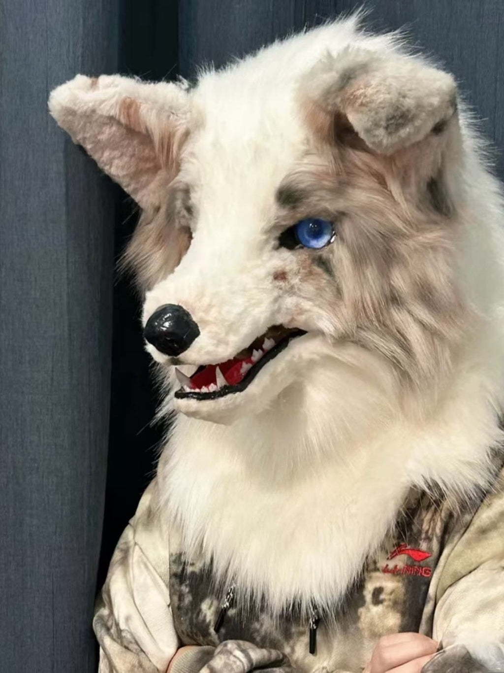 Realistic Lilac Merle Border Collie Fursuit Head Heterochromia Moving Jaw