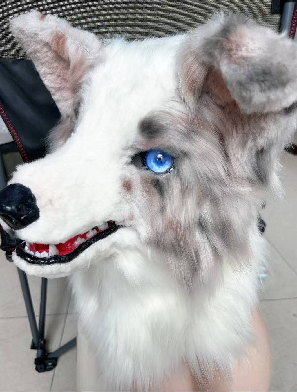 Realistic Lilac Merle Border Collie Fursuit Head Heterochromia Moving Jaw