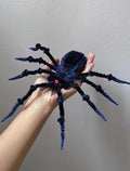 Poseable Pipe Cleaner Spider Figure Custom Color Wire Skeleton Halloween Prop